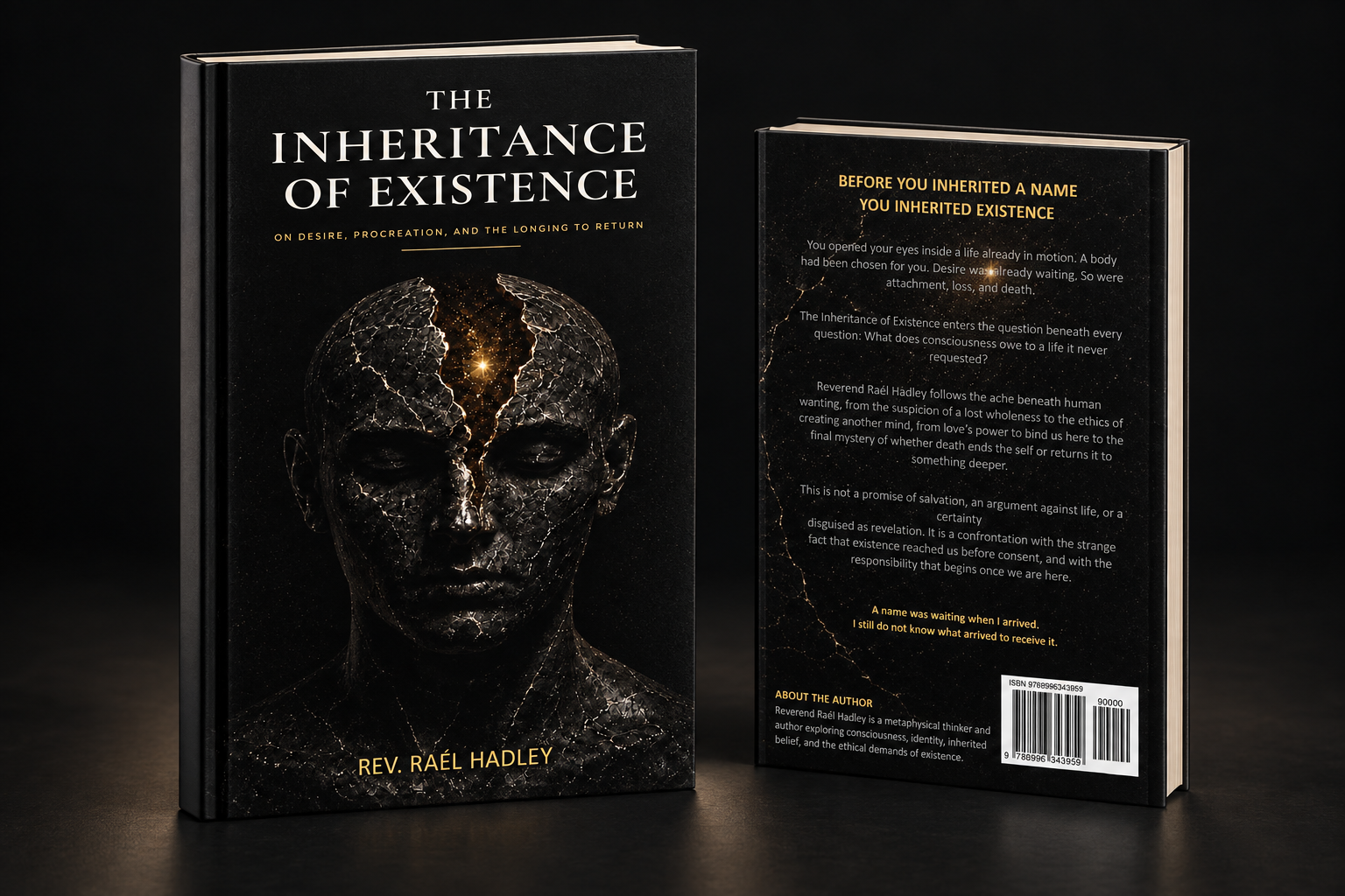 The Inheritance of Existence, front and back in a three-dimensional book presentation